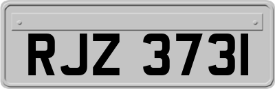 RJZ3731