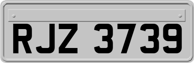 RJZ3739