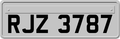 RJZ3787