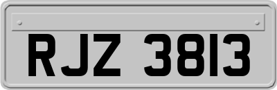 RJZ3813