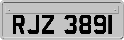 RJZ3891