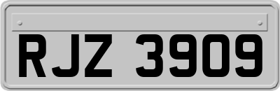 RJZ3909