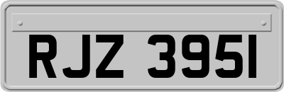 RJZ3951