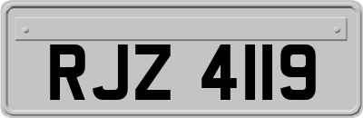 RJZ4119