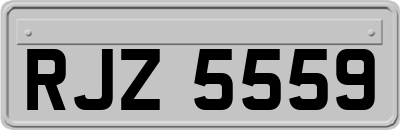 RJZ5559