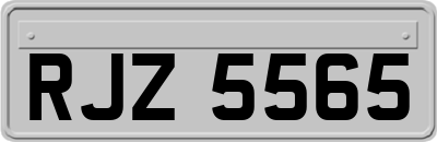 RJZ5565