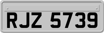 RJZ5739