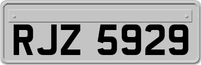 RJZ5929