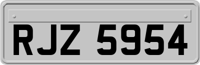 RJZ5954