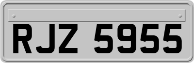 RJZ5955