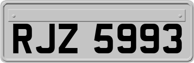 RJZ5993