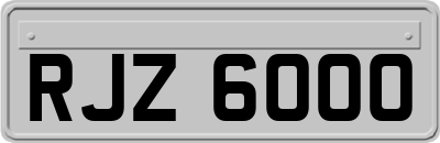 RJZ6000