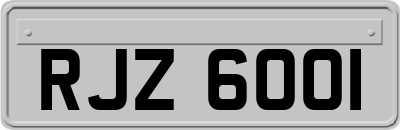 RJZ6001