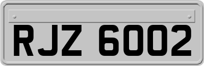 RJZ6002