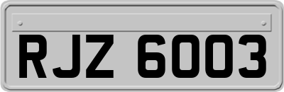 RJZ6003