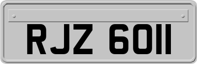 RJZ6011