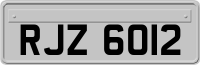 RJZ6012