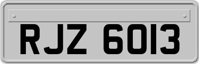 RJZ6013