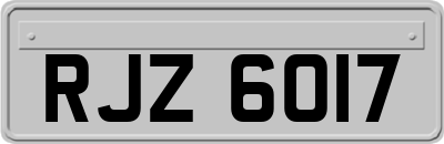 RJZ6017