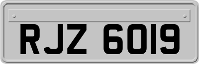 RJZ6019