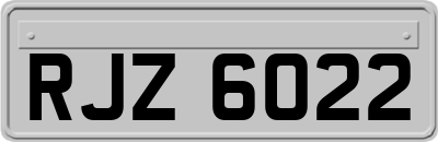 RJZ6022