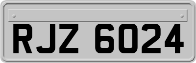 RJZ6024