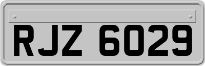 RJZ6029