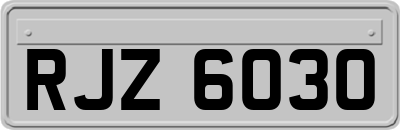 RJZ6030