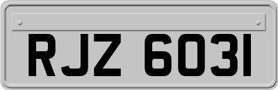 RJZ6031