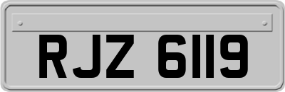 RJZ6119