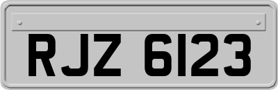 RJZ6123