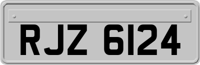 RJZ6124