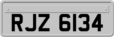 RJZ6134