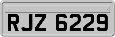 RJZ6229