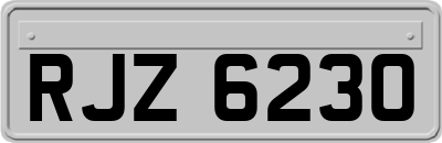 RJZ6230