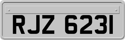 RJZ6231