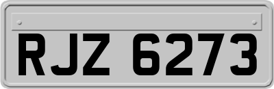 RJZ6273