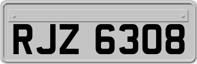 RJZ6308