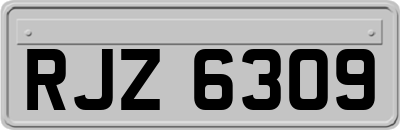 RJZ6309