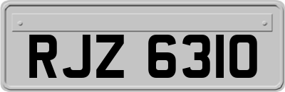 RJZ6310