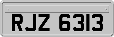 RJZ6313