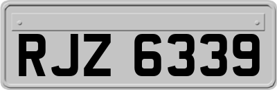 RJZ6339