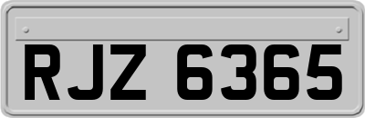 RJZ6365