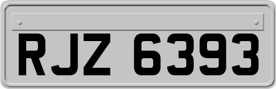 RJZ6393