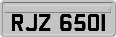 RJZ6501