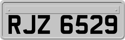 RJZ6529