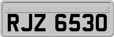 RJZ6530