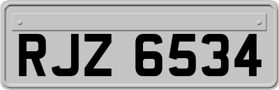 RJZ6534