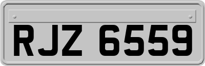 RJZ6559