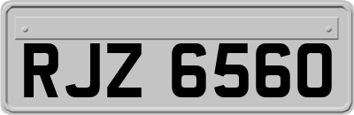 RJZ6560